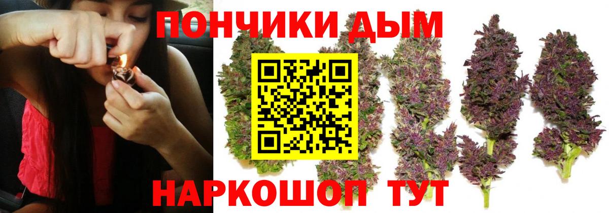 Бошки Шишки SATIVA & INDICA  Бошки Шишки THC 21%  Конопля сатива  Гатчина  Вход с VPN 